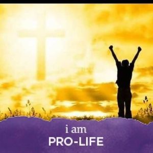 Meet your Posher, Fan